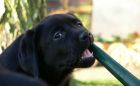 Tasty!
